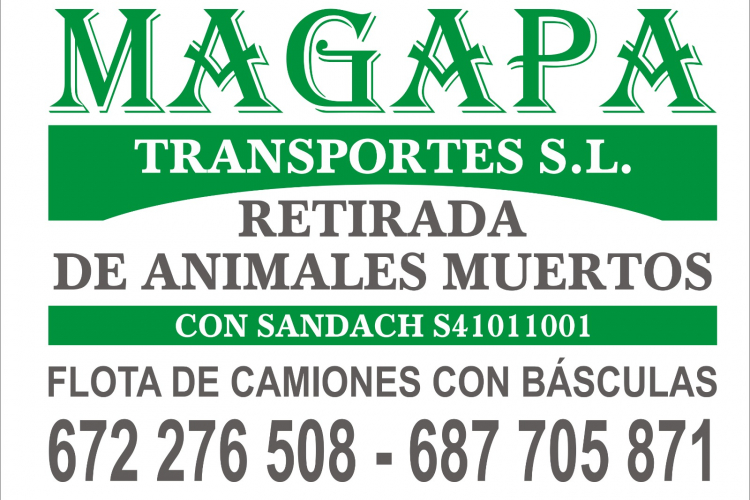 MAGAPA Transportes S.L.